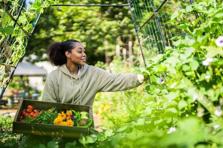 University of the Pacific has moved closer to its goal of a gold rating for sustainability.